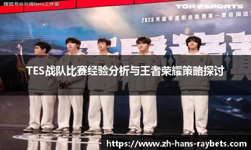 TES战队比赛经验分析与王者荣耀策略探讨